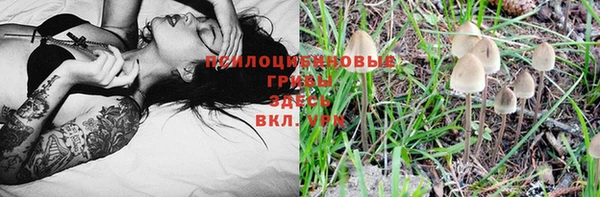 героин Покачи