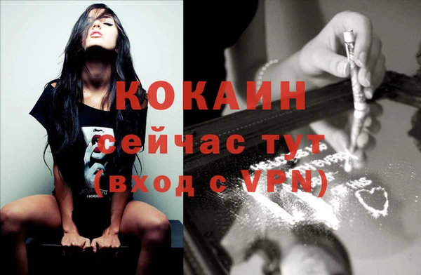 дживик Алзамай