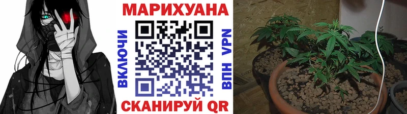 Канабис MAZAR Барабинск